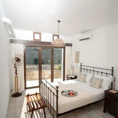 Paros Camares Sunwine בית נופש נאוסה